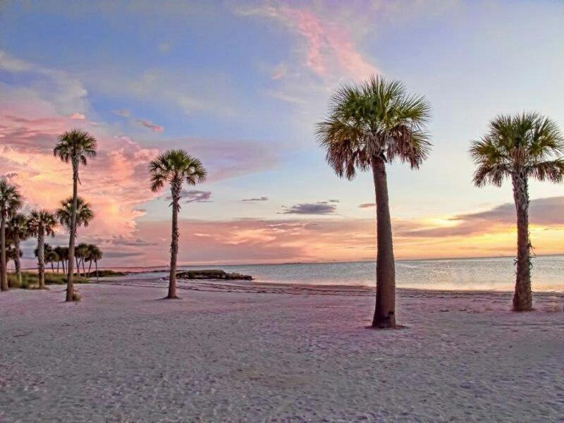 فيلا Hibiscus Hideaway تاربون سبرينغز المظهر الخارجي الصورة